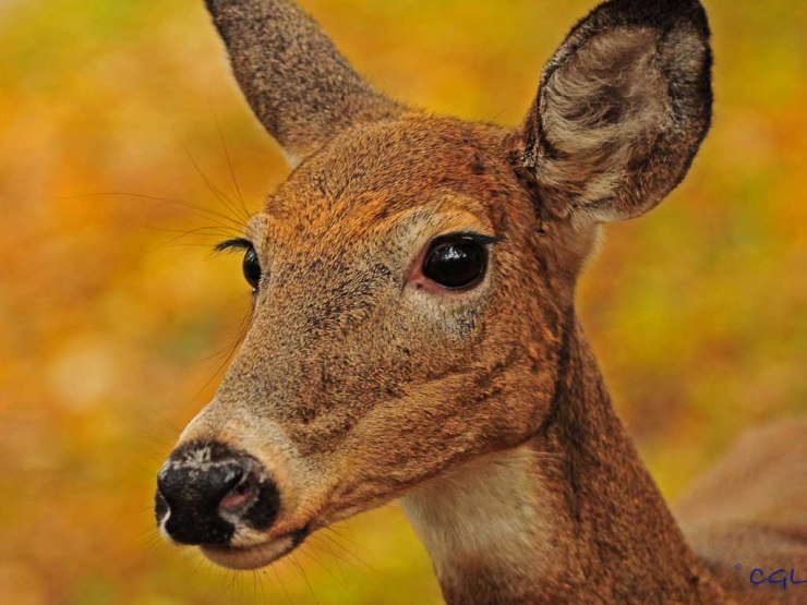 2011_10_26_untitled_2697