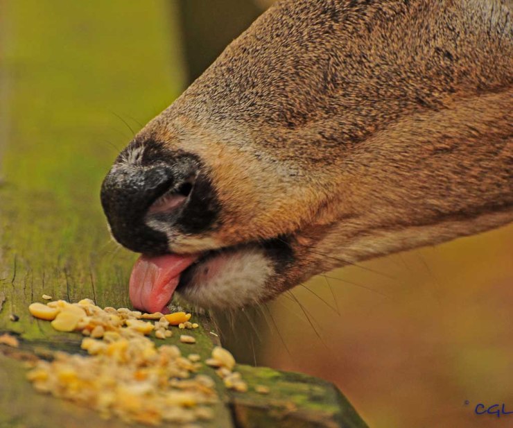 2011_10_26_untitled_2698