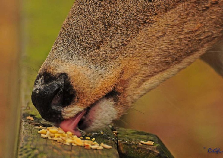 2011_10_26_untitled_2699