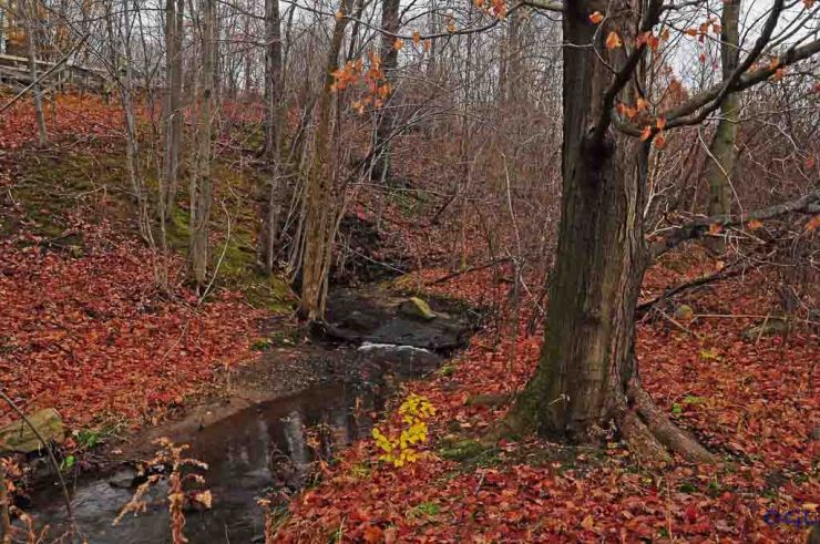 2011_11_16_untitled_2906