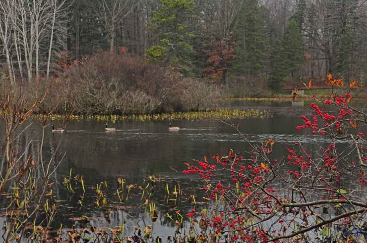 2011_11_16_untitled_2909