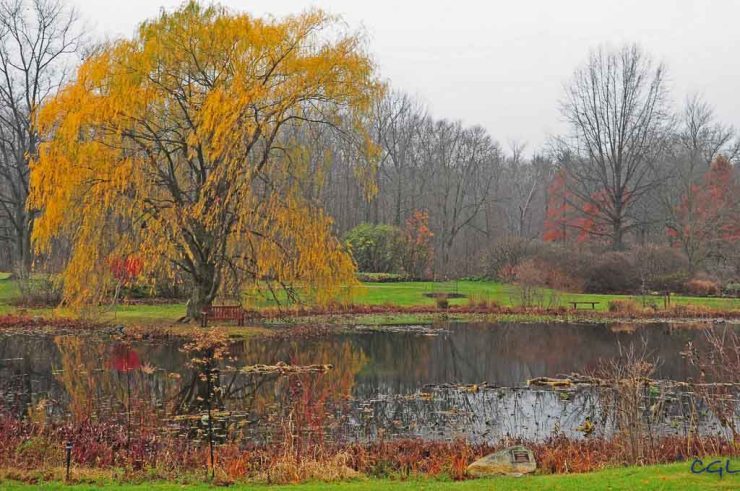 2011_11_16_untitled_2912