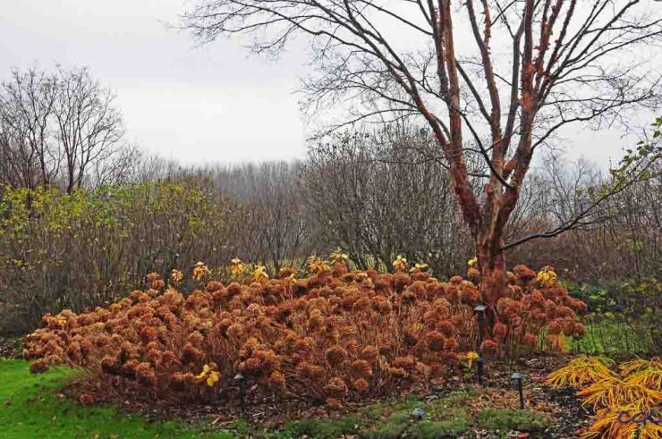 2011_11_16_untitled_2914