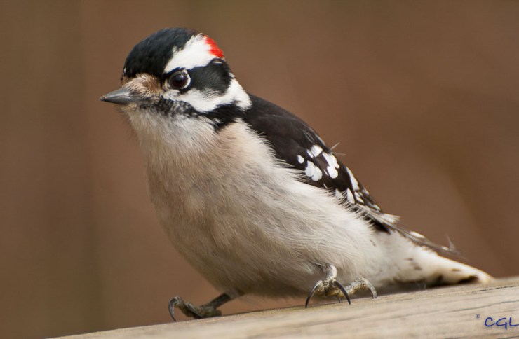 2012_02_18_untitled_8453