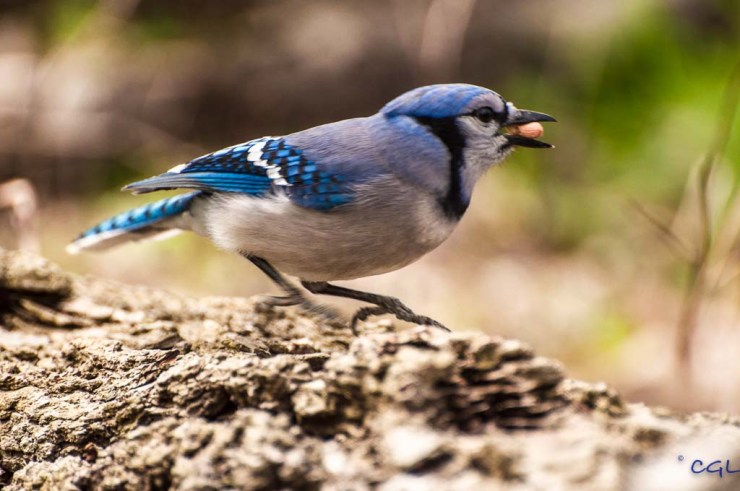 2012_04_24_untitled_5616