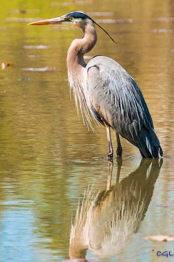 2012_04_northchagrin_173