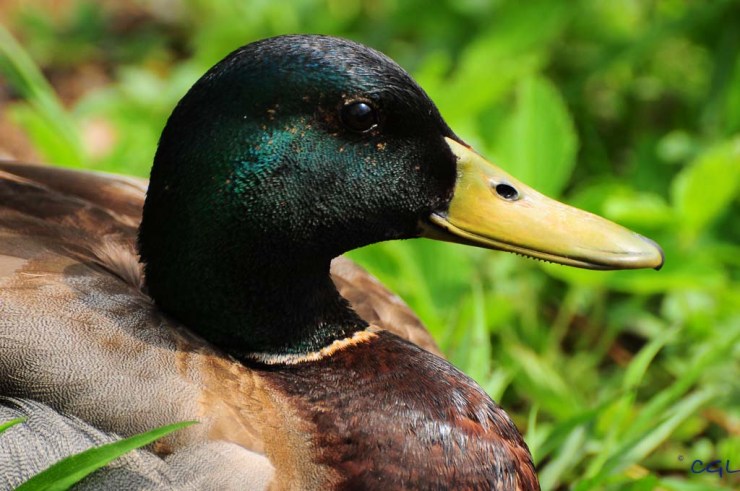 2012_05_07_untitled_6711