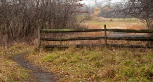rail fence