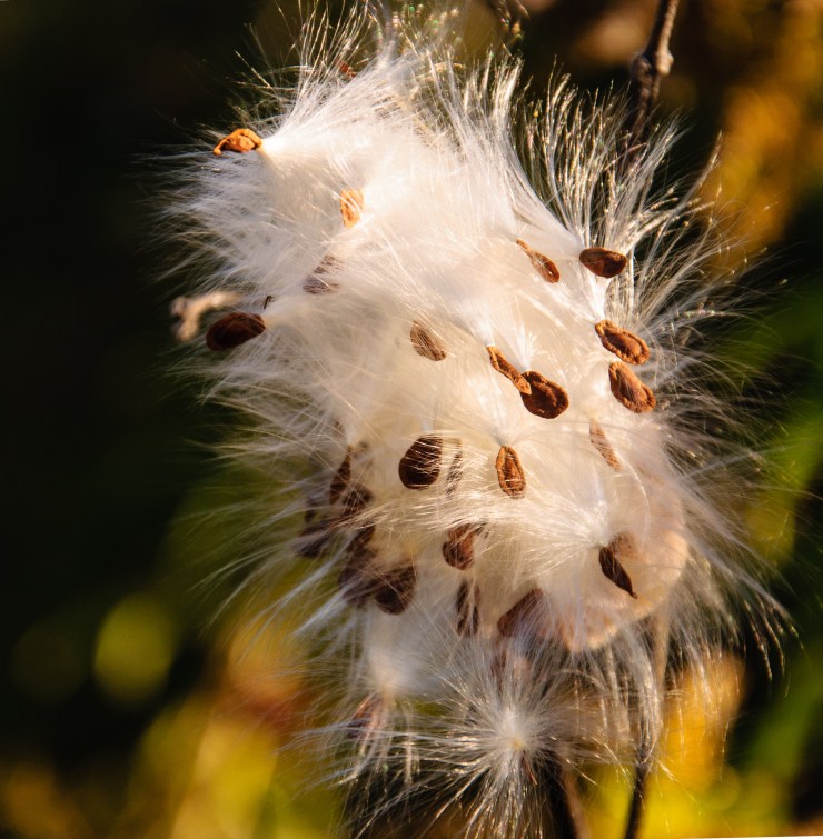 2013_10_30_Holden_007