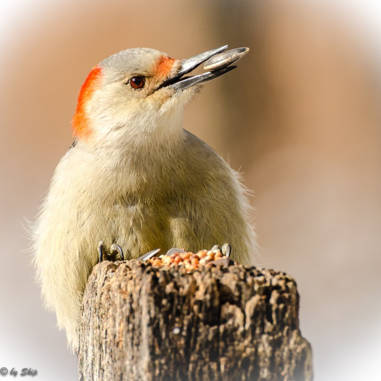 The RBW proud of her tasty find