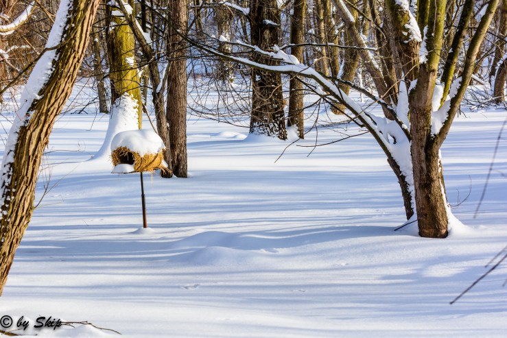 2015_02_02_Chagrin River Park_006