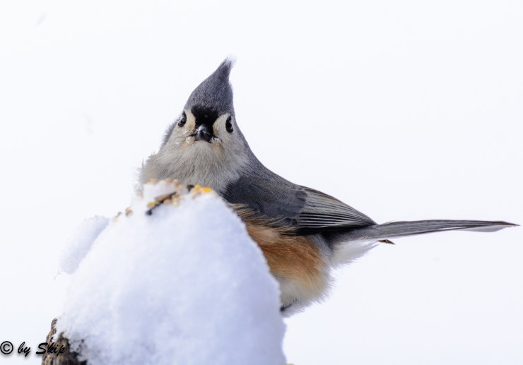 2015_02_02_Chagrin River Park_034