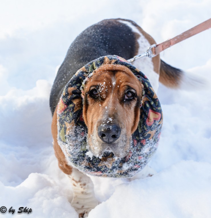 2015_02_02_Chagrin River Park_066