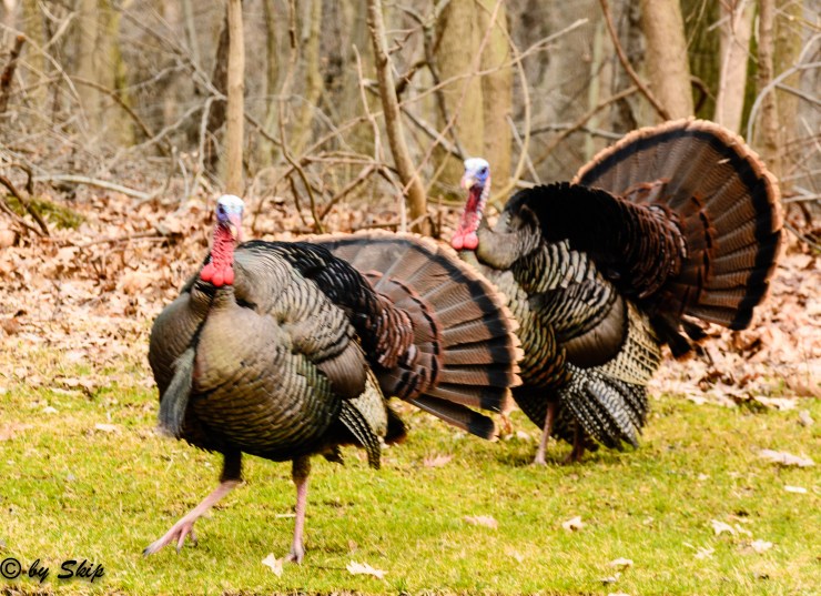 2015_04_03_Good Friday 2015_052