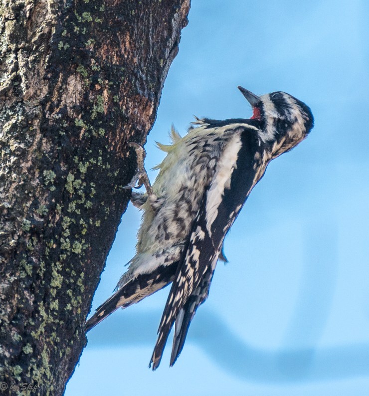 2015_04_13_Chagrin River Park_041