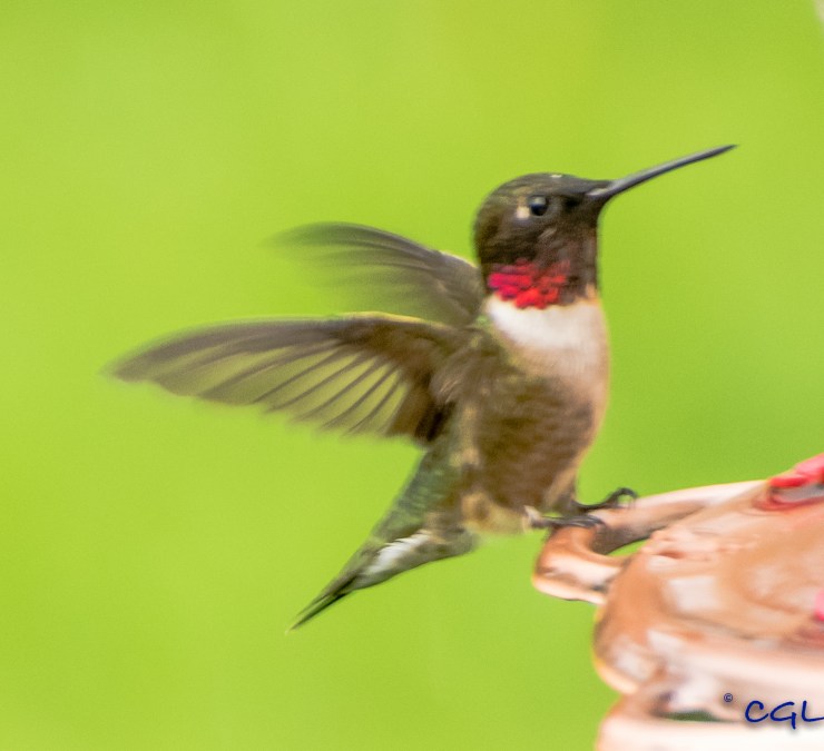 2015_05_05_untitled_019