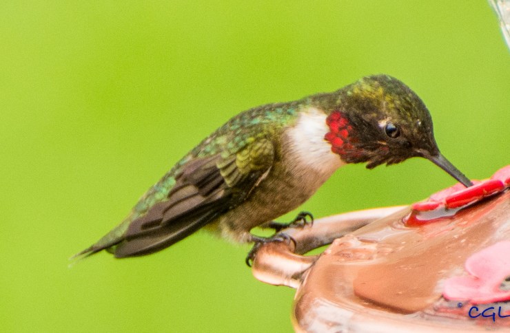 2015_05_05_untitled_024