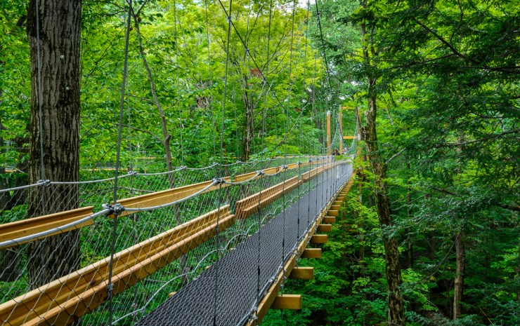 Canopy Walk at Holden Arboretum