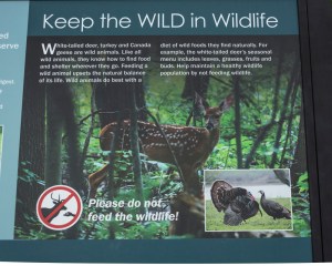 2015_09_30_Chagrin River Park_003