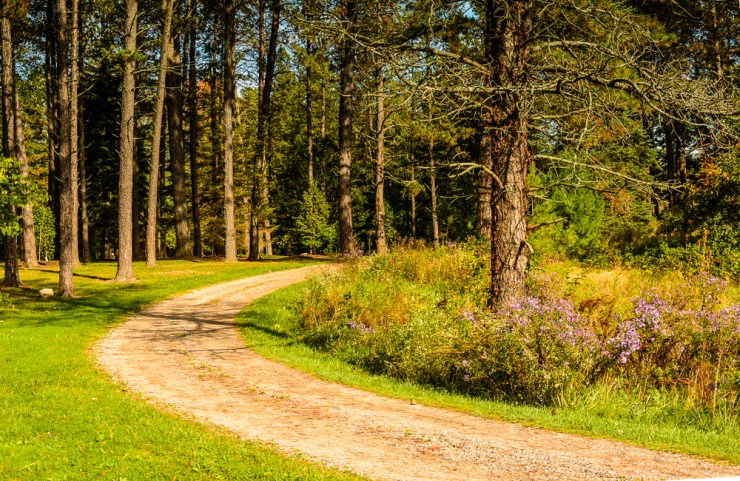 2015_10_01_Holden Arboretum_012