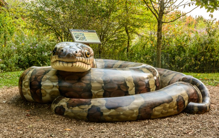2015_10_08_North Chagrin Reservation_020