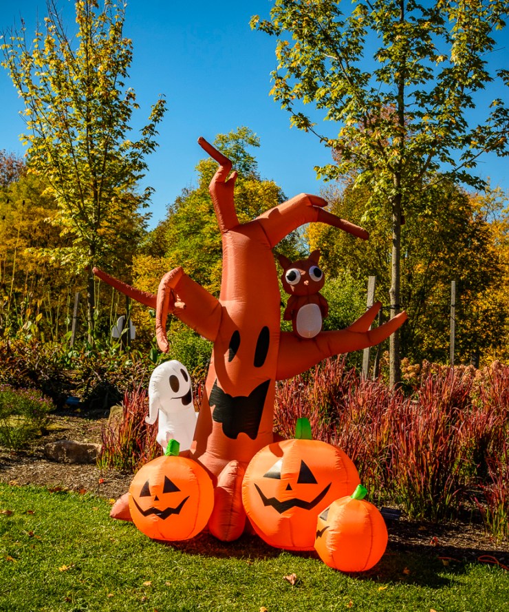 2015_10_12_Holden Arboretum_002