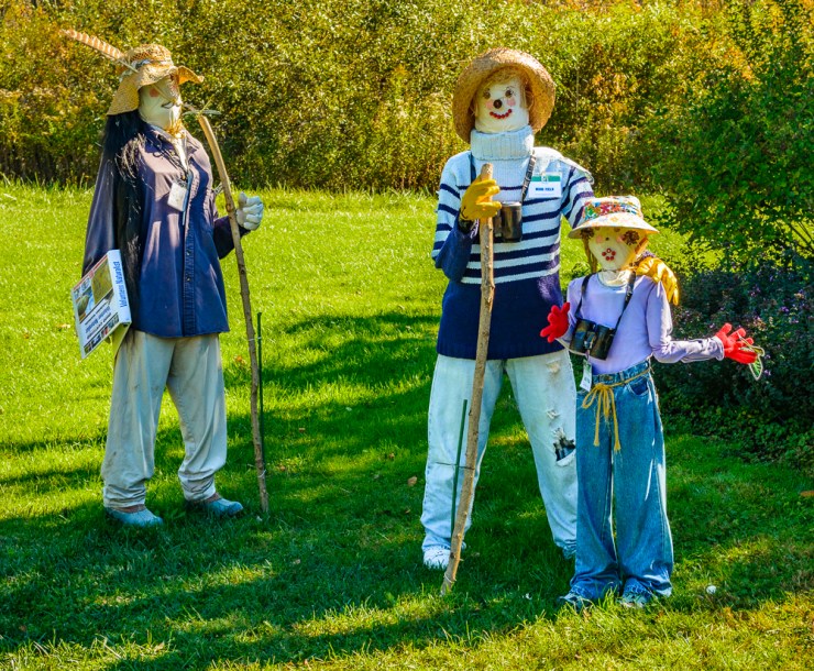 2015_10_12_Holden Arboretum_004