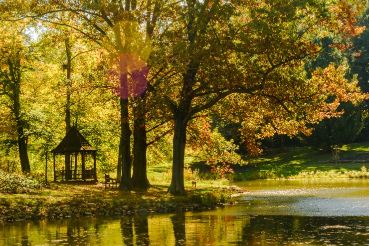 2015_10_12_Holden Arboretum_123