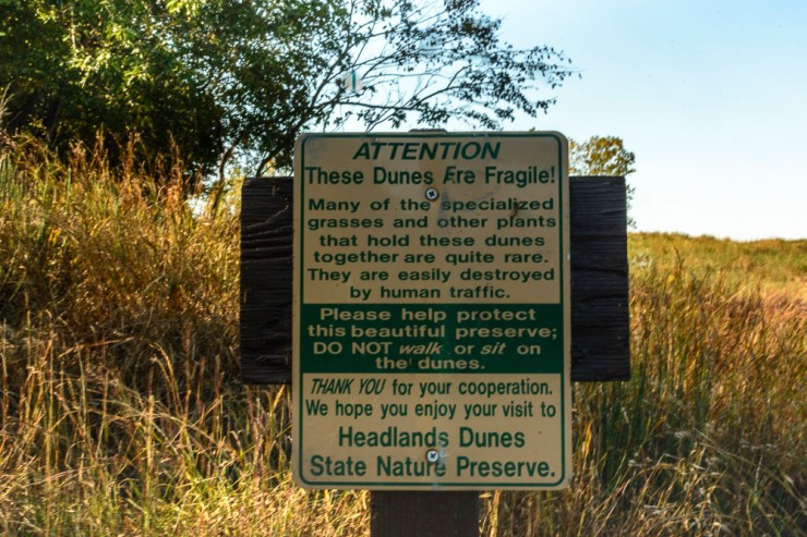 2015_10_15_Headlands Dunes_015