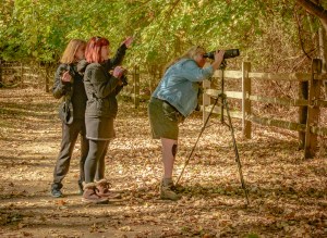 2015_10_15_Headlands Dunes_170