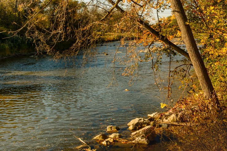 2015_10_20_Chagrin River Park_005
