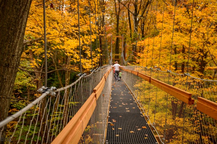 2015_10_22_Holden Arboretum_106