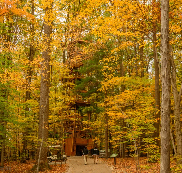 2015_10_22_Holden Arboretum_190