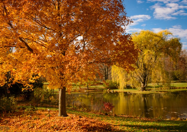 2015_11_05_untitled_015