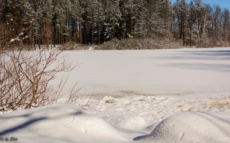 2016_02_18_Trailwalk_Holden Arboretum_0034