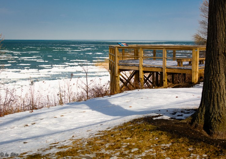 2016_02_19_Trailwalk_Lake Front Park_008