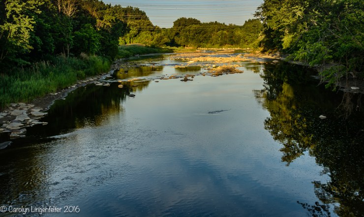 2016_07_03_Trailwalk_Chagrin River Park_0135