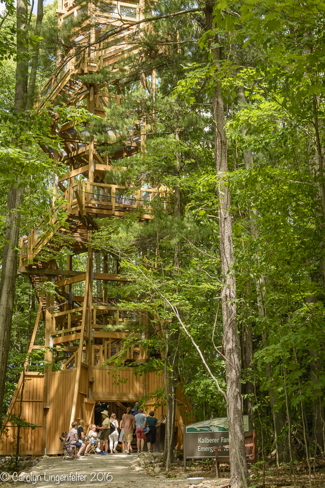 2016_07_15_Trailwalk_Holden Arboretum_0046