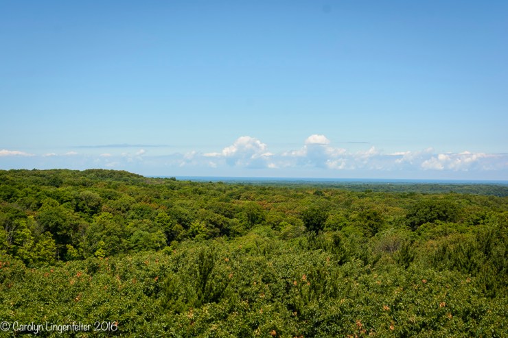 2016_07_15_Trailwalk_Holden Arboretum_0076