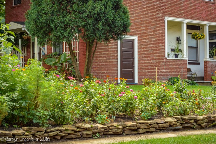 2016_08_11_back yard_back yard buffet_0054