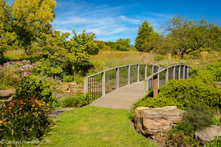 2016_09_16_trailwalk_holden-arboretum_0025-edit-edit