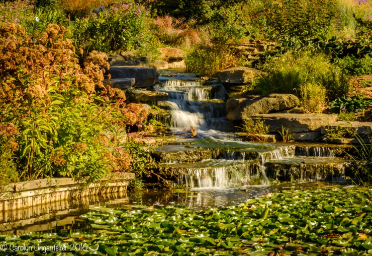2016_09_22_places_holden-arboretum_0020