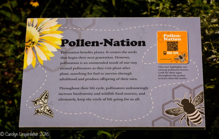 2016_09_22_places_holden-arboretum_0031