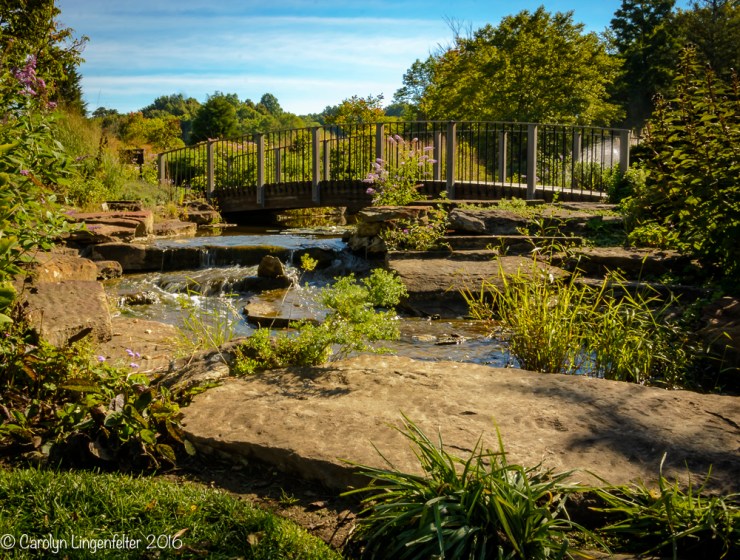 2016_09_22_places_holden-arboretum_0044
