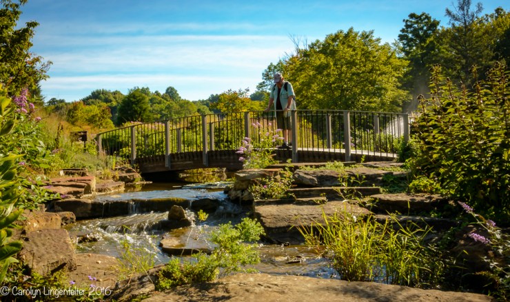 2016_09_22_places_holden-arboretum_0046