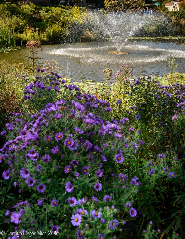 2016_09_22_places_holden-arboretum_0053
