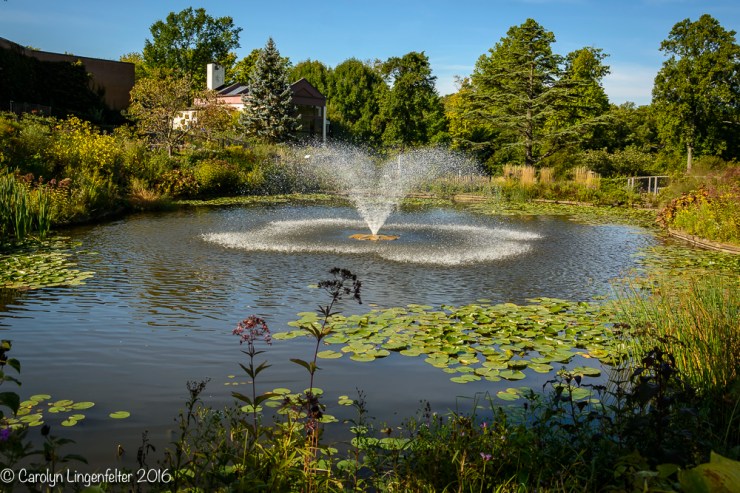2016_09_22_places_holden-arboretum_0056