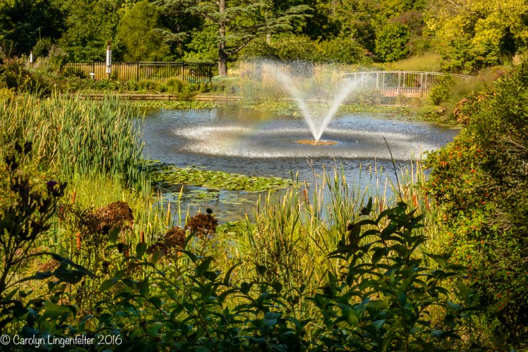 2016_09_22_places_holden-arboretum_0061