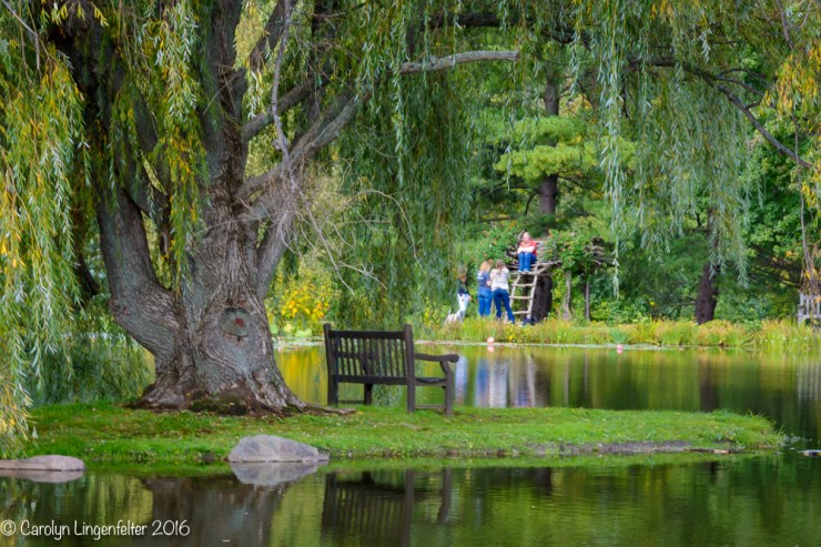 2016_10_03_holden-arboretum_033