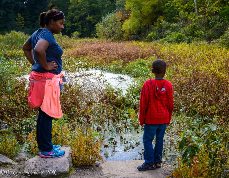 2016_10_03_holden-arboretum_050